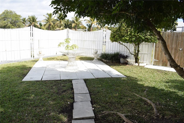 view of yard featuring a patio area