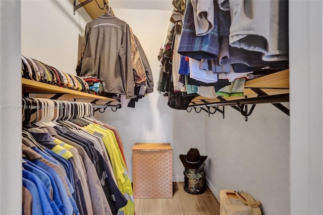 view of spacious closet