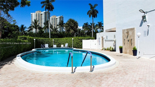 view of pool with a patio area