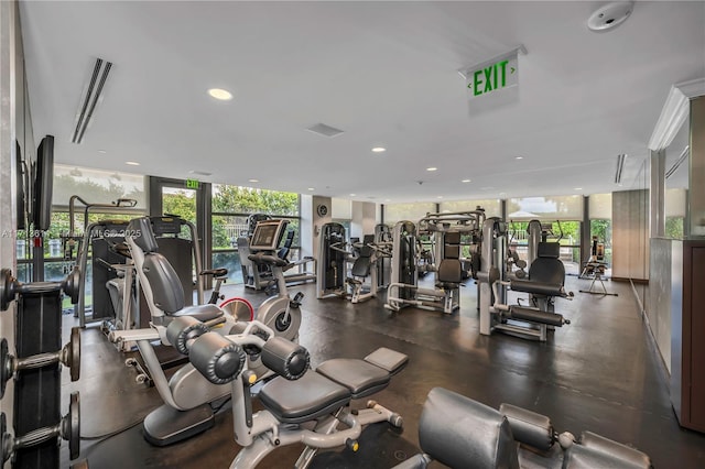 gym featuring expansive windows and a healthy amount of sunlight