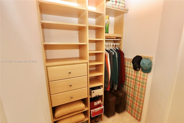 view of spacious closet