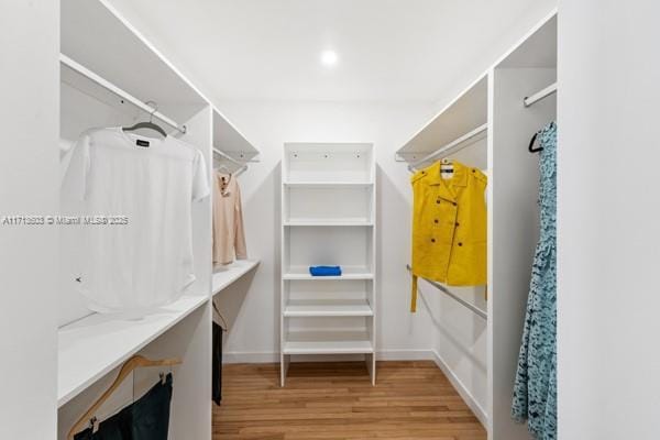 spacious closet with light hardwood / wood-style floors