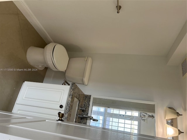 bathroom featuring ornamental molding