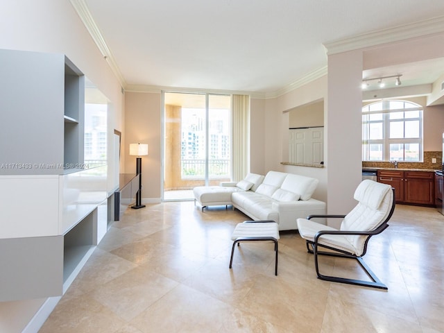 living room with sink and crown molding