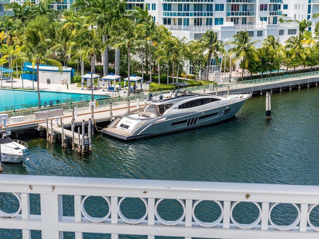 dock area with a water view