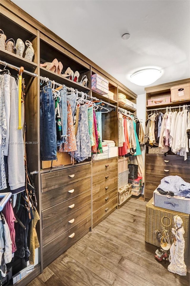 spacious closet with wood-type flooring