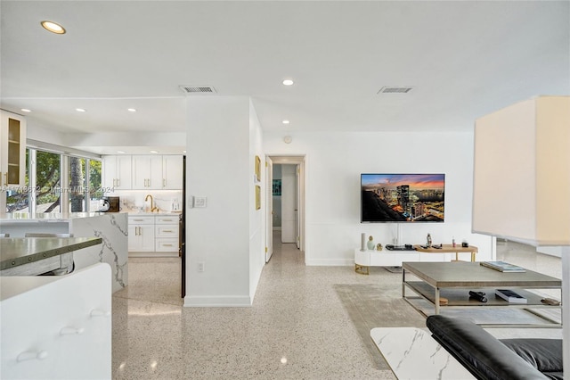 living room featuring sink