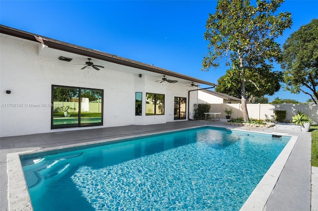 view of swimming pool with a patio area and ceiling fan