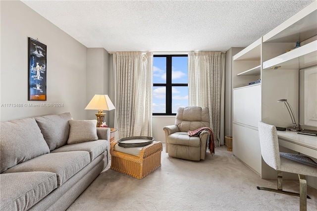 living room with carpet and a textured ceiling