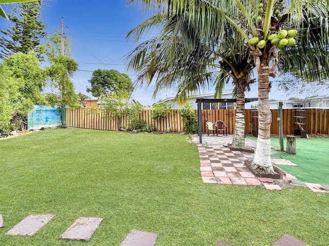 view of yard with a patio area