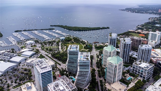 aerial view with a water view