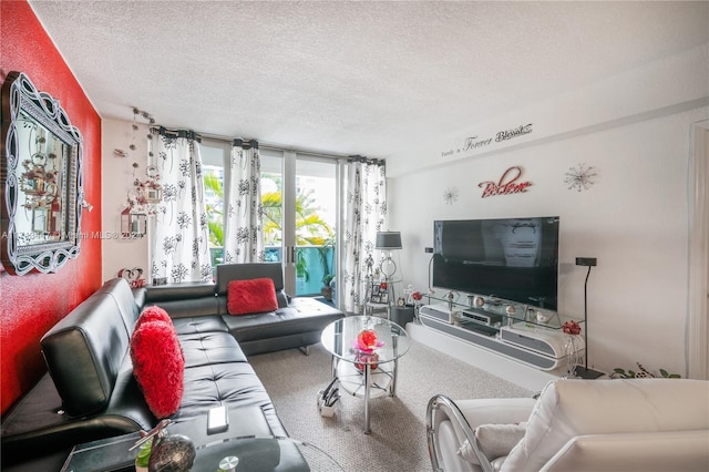 living room featuring a textured ceiling