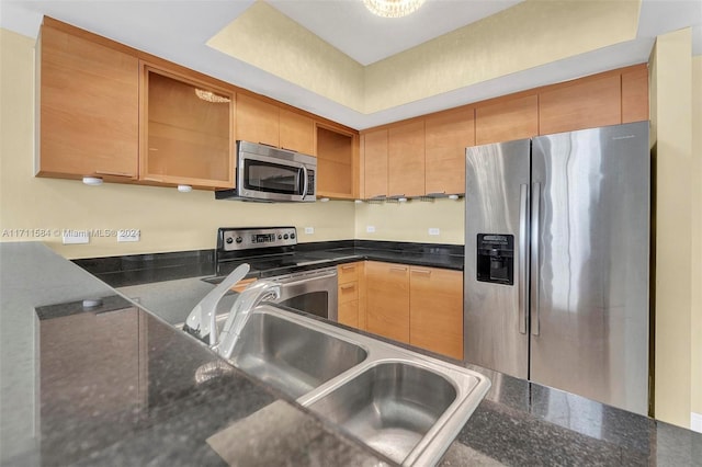 kitchen with sink, stainless steel appliances, and dark stone countertops