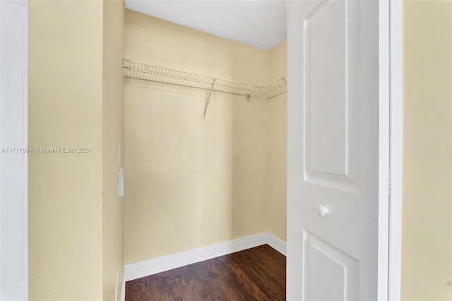 spacious closet featuring dark hardwood / wood-style floors