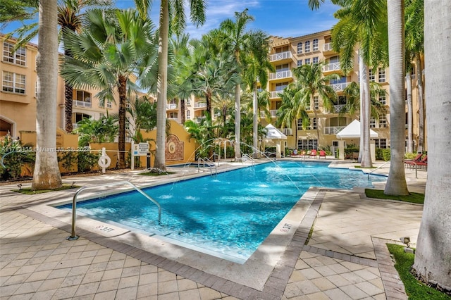 view of pool featuring a patio area