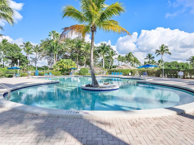 view of swimming pool featuring a patio area