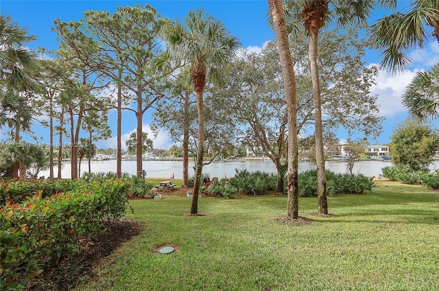 view of yard with a water view