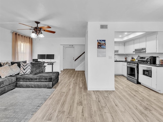 living room featuring a raised ceiling, ceiling fan, and light hardwood / wood-style flooring