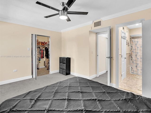 unfurnished bedroom with crown molding, carpet flooring, ceiling fan, a spacious closet, and a closet