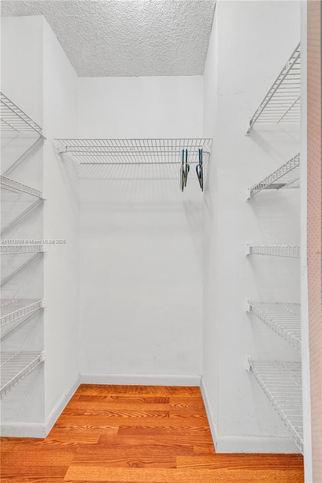 walk in closet with hardwood / wood-style floors