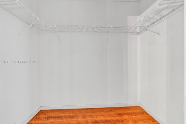 spacious closet featuring hardwood / wood-style floors