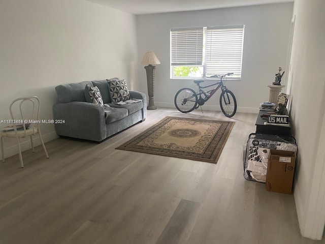 living room featuring hardwood / wood-style flooring