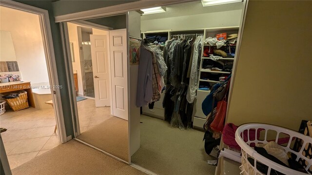 walk in closet with carpet