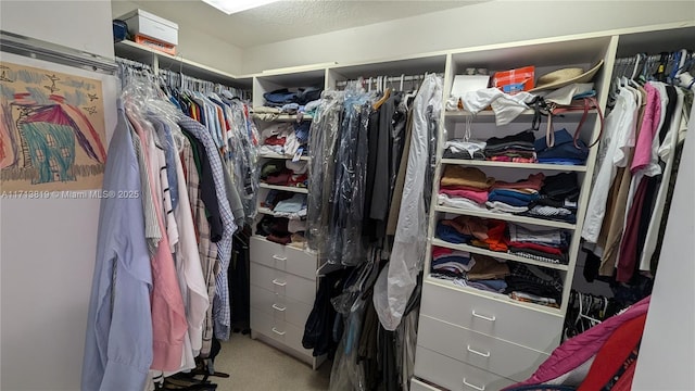 760 SW 190th Ave, Pembroke Pines, FL 33029 - walk in closet with carpet flooring