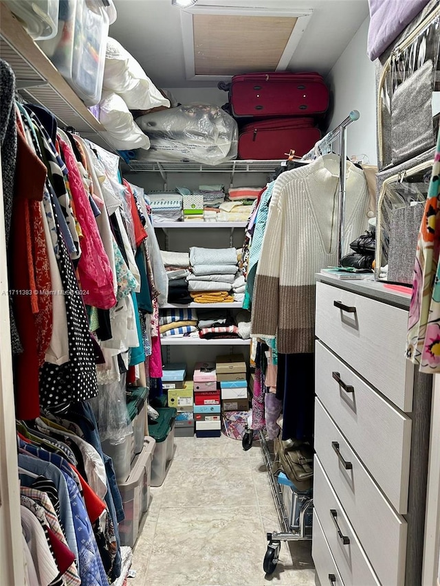 view of spacious closet