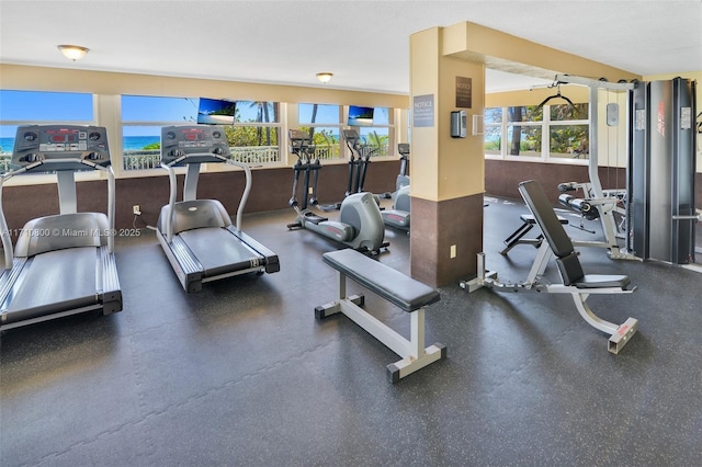 workout area featuring a wealth of natural light