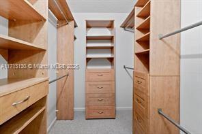 spacious closet featuring light colored carpet