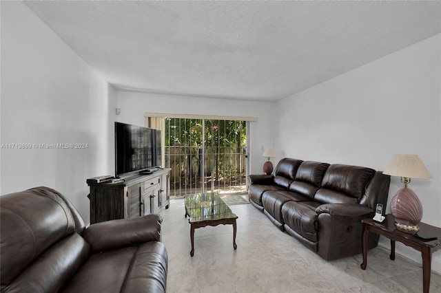 living room featuring a textured ceiling