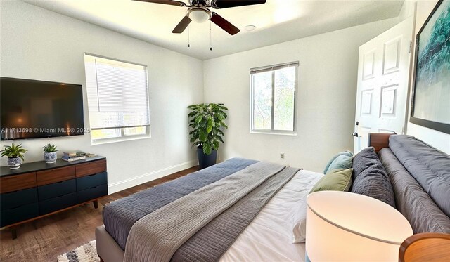 bedroom featuring multiple windows, dark hardwood / wood-style floors, and ceiling fan