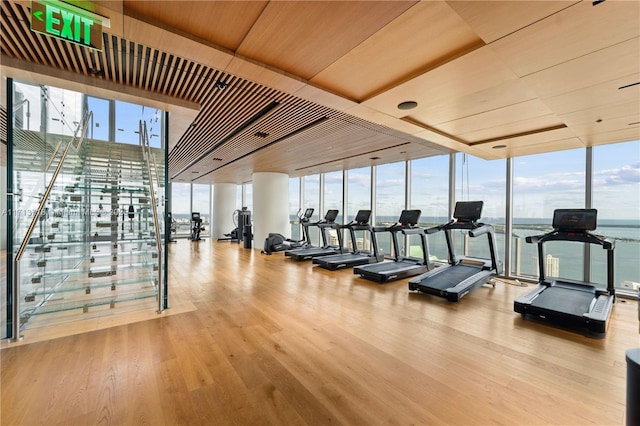 exercise room with a wealth of natural light, floor to ceiling windows, and wood finished floors