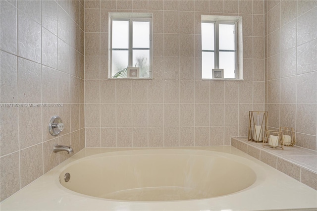 bathroom with a bathtub and a wealth of natural light