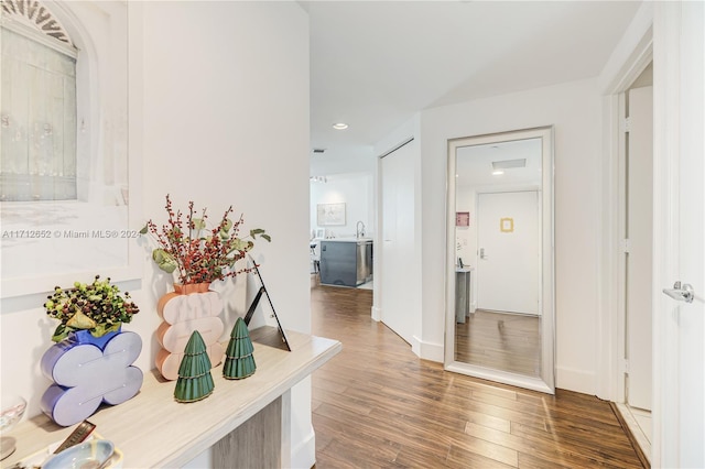 hallway featuring sink and dark wood-type flooring