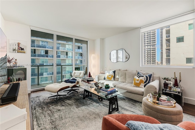 living room with hardwood / wood-style flooring and a wall of windows