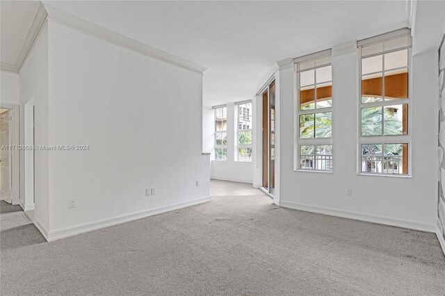 carpeted spare room with ornamental molding