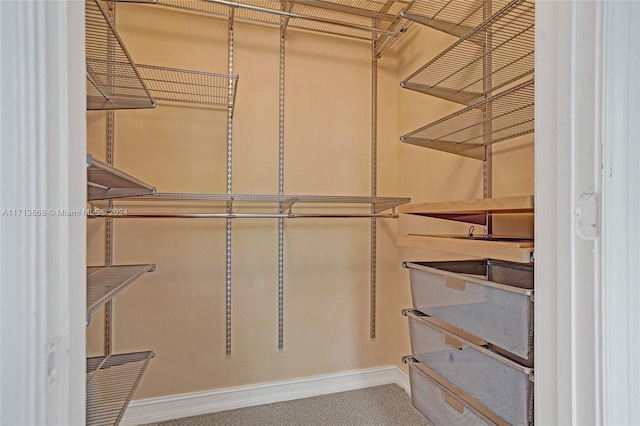 spacious closet with carpet flooring