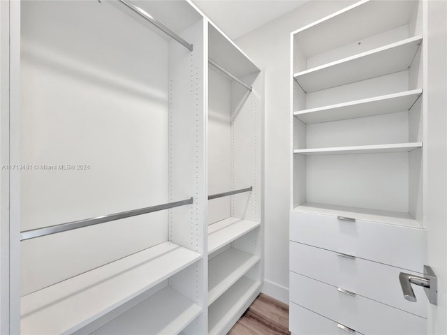 spacious closet featuring wood-type flooring