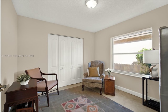 sitting room featuring a textured ceiling and carpet floors