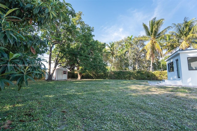 view of yard featuring a storage unit