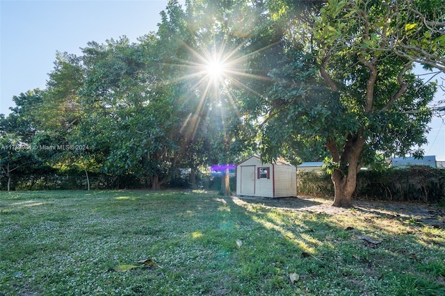 view of yard with a storage shed