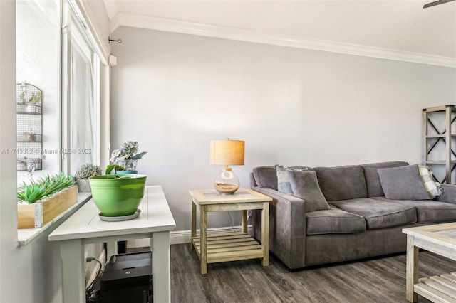 living room featuring dark hardwood / wood-style floors and ornamental molding