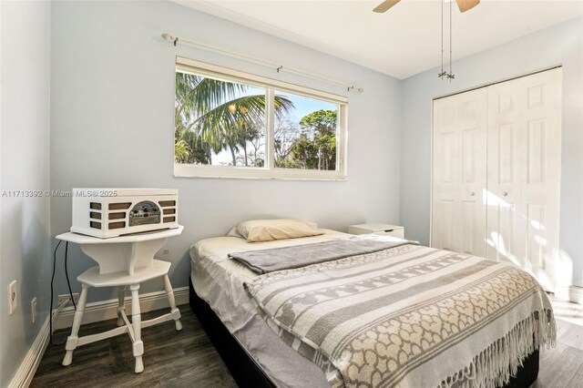 bedroom featuring ceiling fan, a closet, and dark wood-type flooring