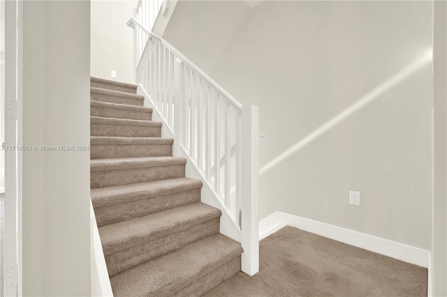 stairway featuring carpet floors