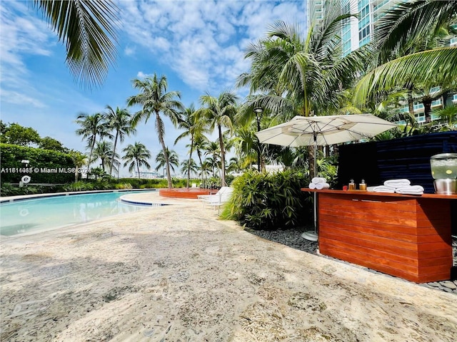 view of pool featuring exterior bar