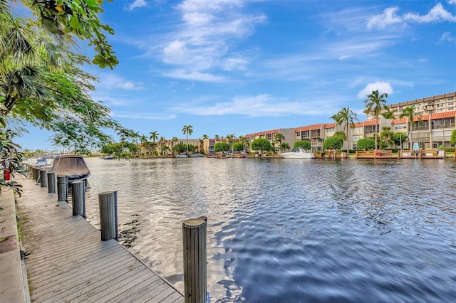 dock area with a water view