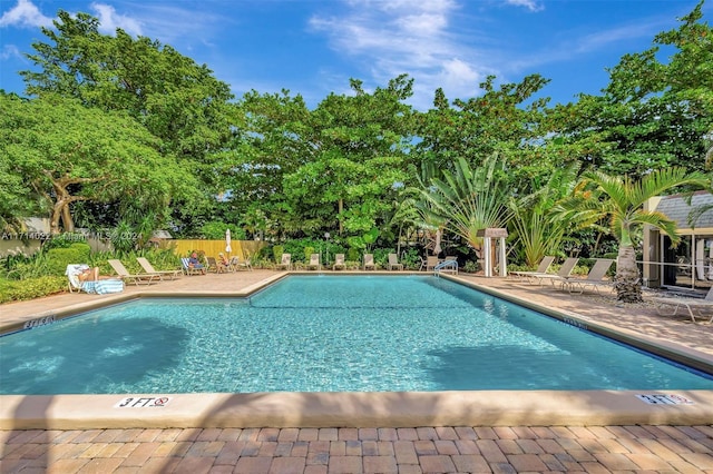 view of pool featuring a patio area