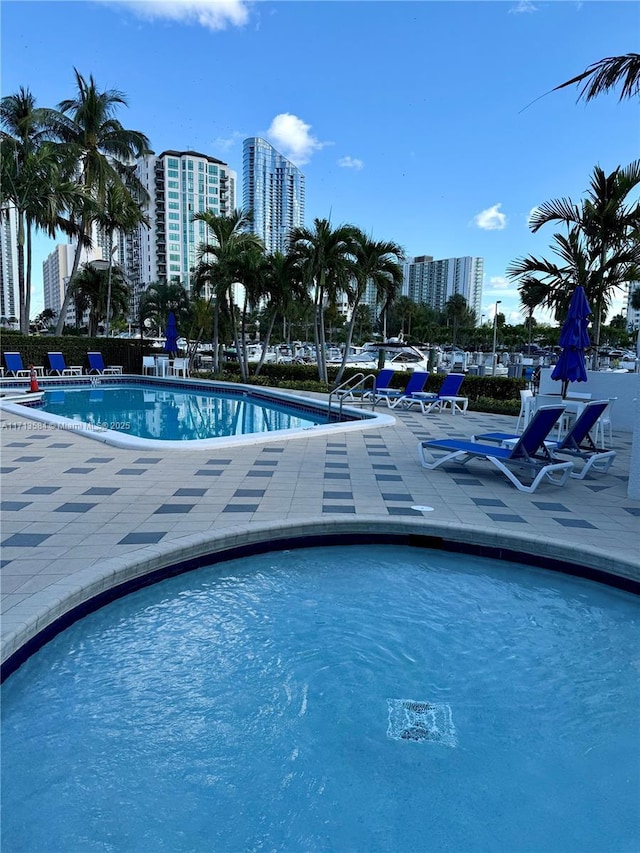 view of swimming pool with a patio area